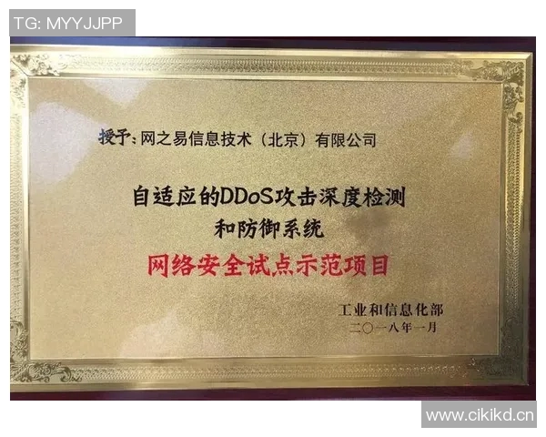 王者荣耀战术解析V5战队防守体系的成功秘诀与实战应用